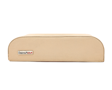 car-tissue-box