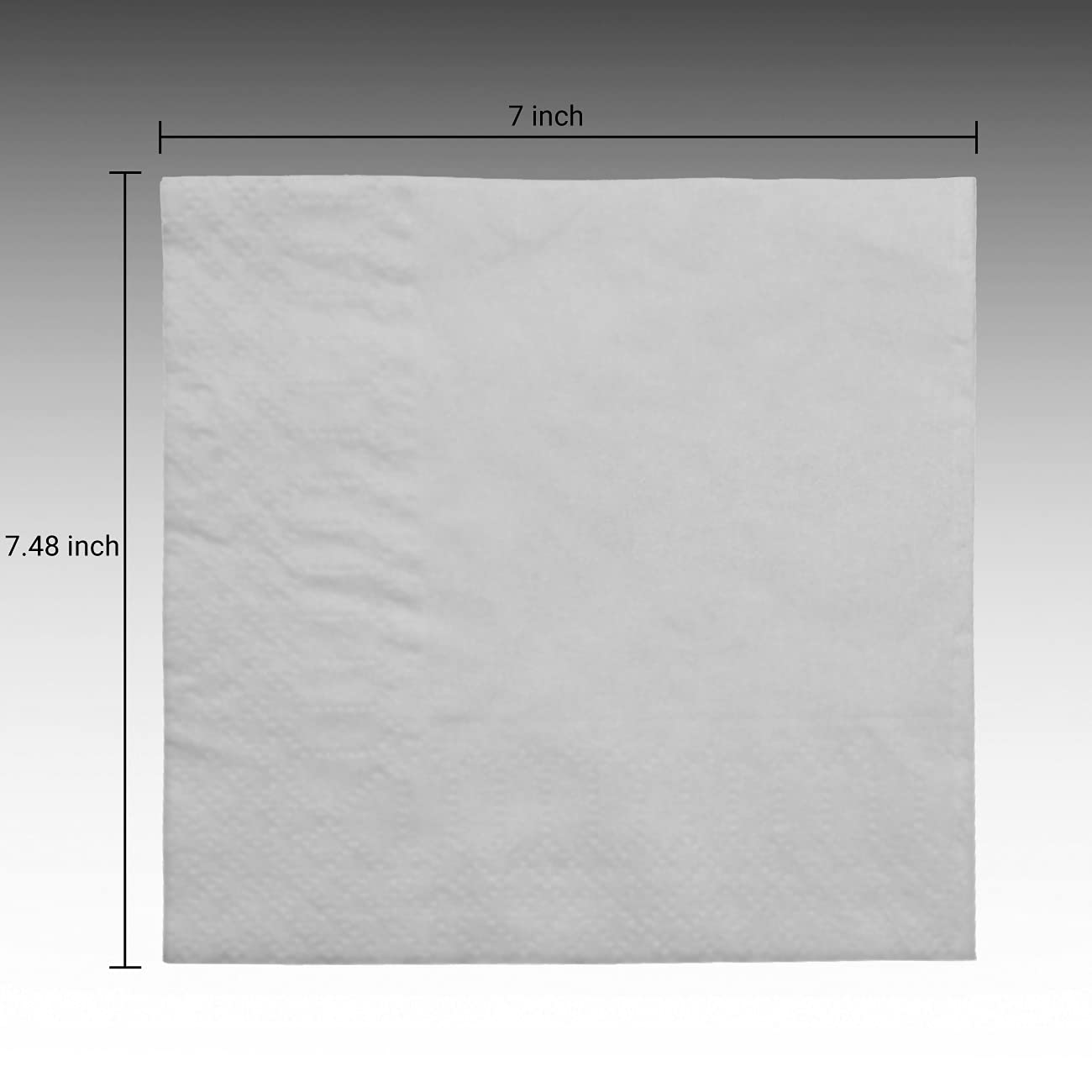 Autofurnish Tissue Refill for Tissue Boxes (100 pulls 2 ply) - White (Pack of 1)